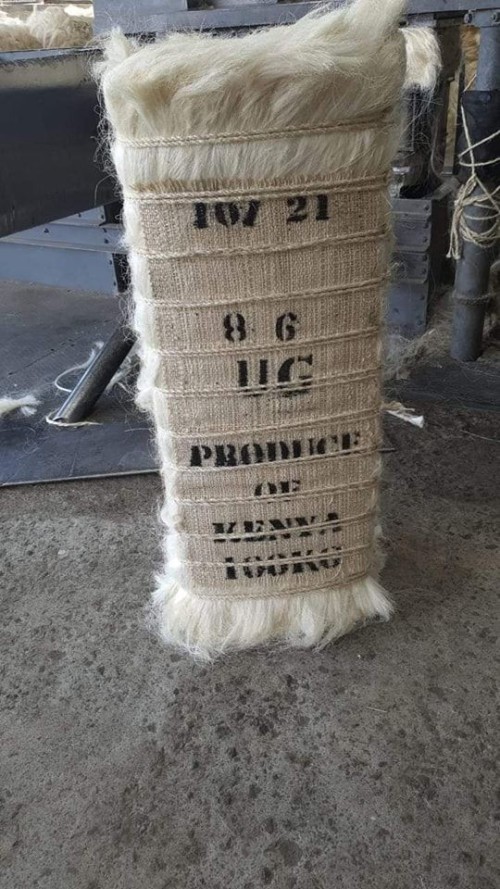 Sisal Fiber UG Grade For Sale