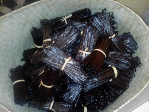 Vanilla Beans for sale