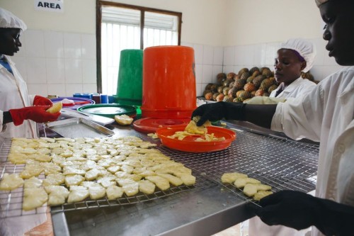 Dried Pineapple Fruit Dried Pineapple Slices