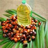 Palm Olein CP10